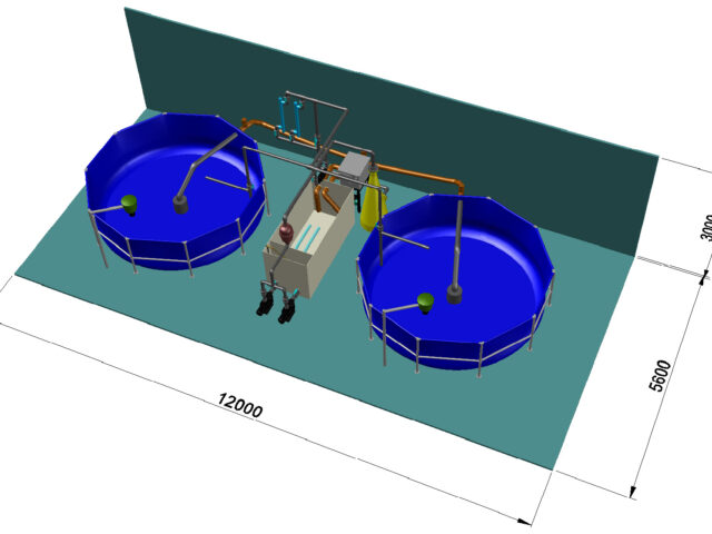 5. Mô-đun R&D cho cá tầm