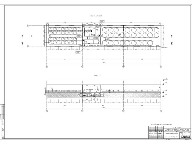 12. RAS cho 220.000 cá tầm giống mỗi năm